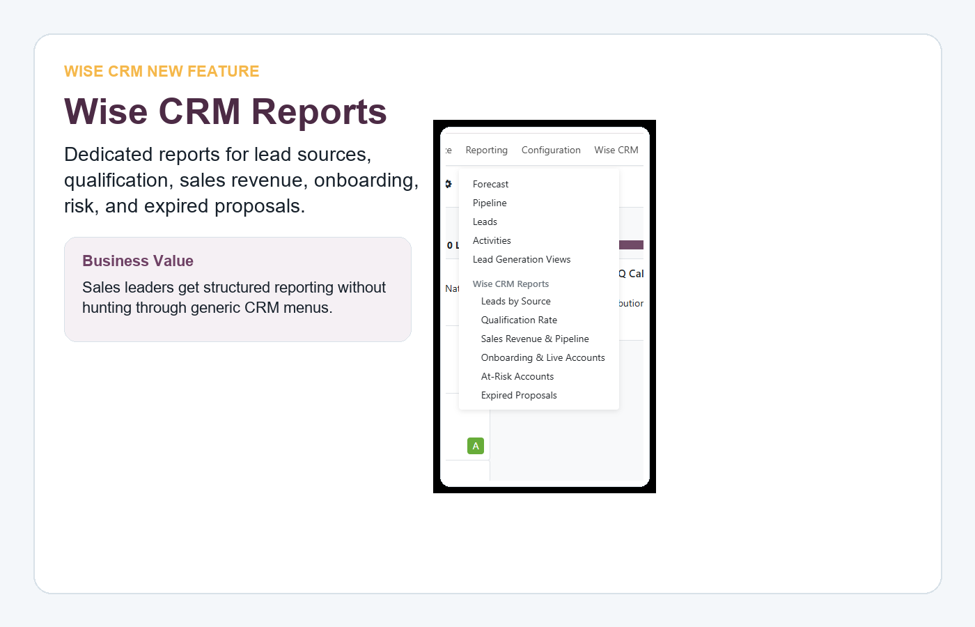 Wise CRM reports