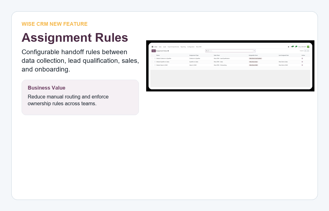 Wise CRM assignment rules