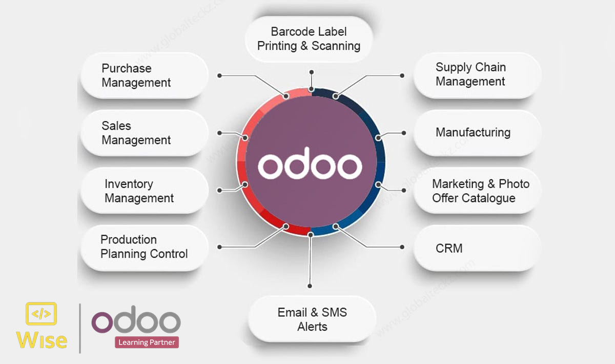 Odoo ERP business process coverage with Wise Egypt and Odoo Learning Partner logo