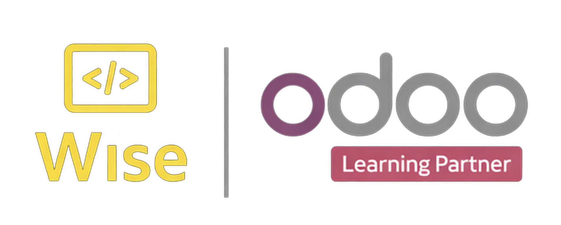 Wise Egypt Odoo Learning Partner